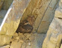 20 Junge Klettern in Felswand umher in schattige Nischen